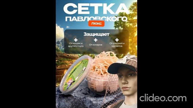 Сетка Павловского смотреть онлайн
