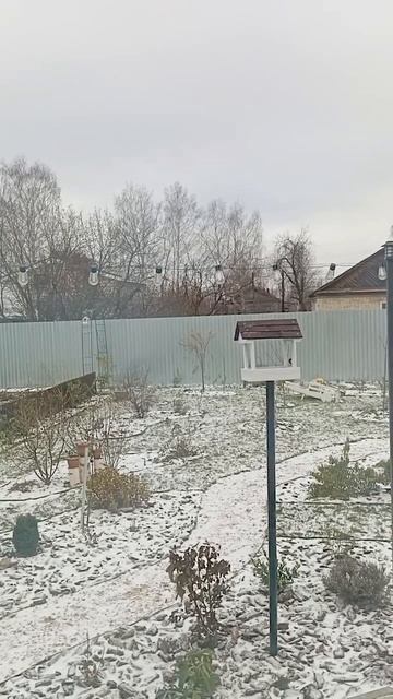 Наблюдаем за птичками смотреть онлайн