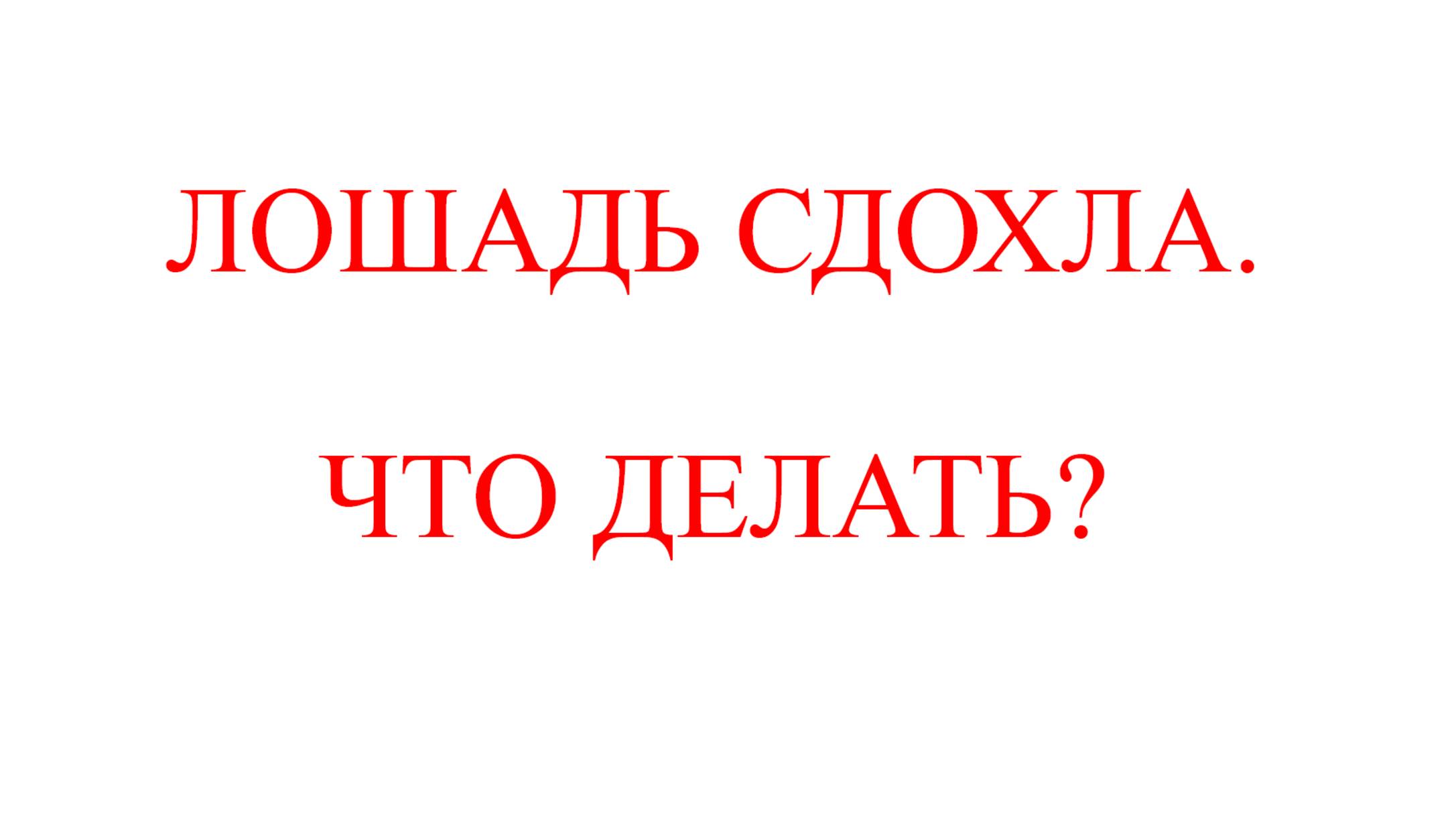 Лошадь сдохла. Что делать? смотреть онлайн