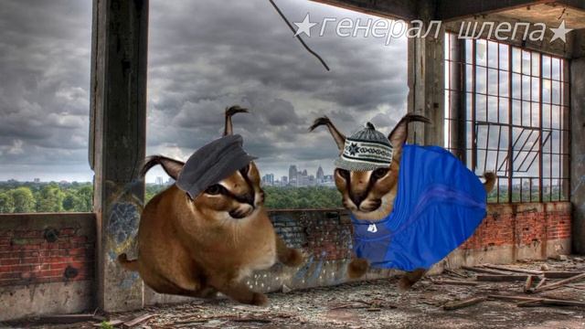 музыка улиц|5 серия| замес| (анимационный сериал про шлёп) смотреть онлайн