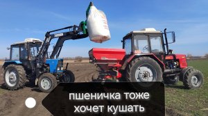 Подкормка пшеницы озимой и ячменя 2025!!!
