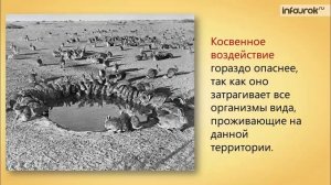 67. Воздействие человека на животных. Рациональное использование животных