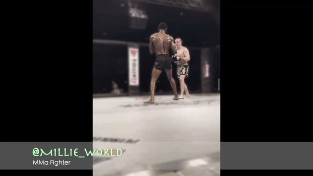 A Professional MMA Fighter Will Train Me смотреть онлайн