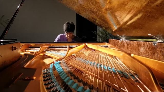 Chopin Etude Op. 10 No. 12, 