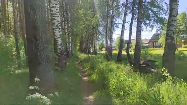 У Дома в огороде прямой эфир 9.06.2022. Мстера смотреть онлайн