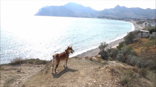Имото и парапланы смотреть онлайн