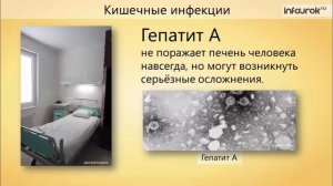 4. Вирусные заболевания и их профилактика