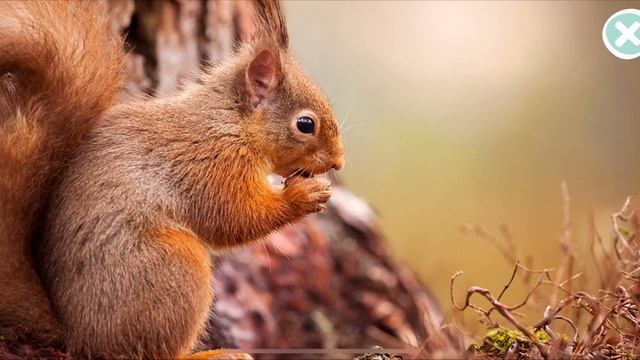 Развивающий мультфильм для детей (познавательный мультик для малышей), мультфильмы для детей смотреть онлайн