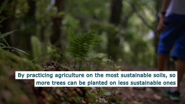 The importance of sustainable soil use смотреть онлайн