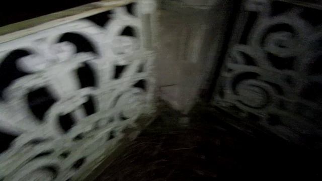 Усадьба Михайловка 07.03.25