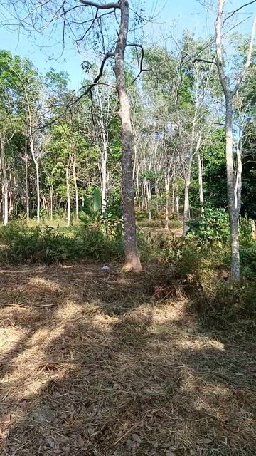 Almost There 🫠🥵 #hiking To #bigbuddha #phuket #thailand