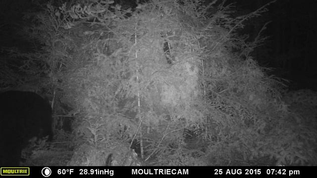 It can't find me. Date is Sep 24 2015. Camera is off by 30 days. смотреть онлайн