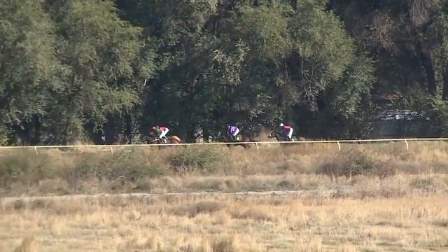 Скачки за Приз "Казахстанская классика" смотреть онлайн