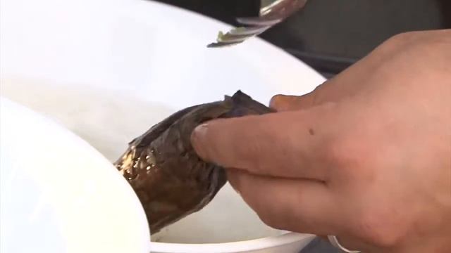 Island Palate: Eggplant In Coconut Milk