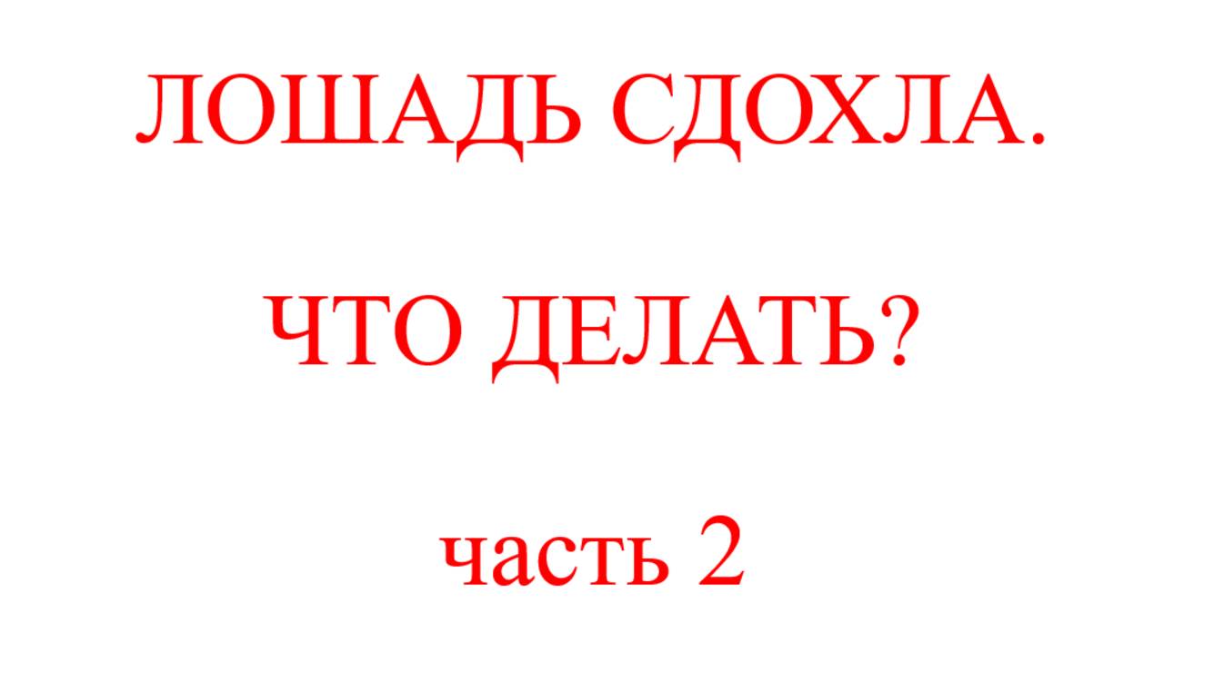 Лошадь сдохла. Что делать? смотреть онлайн