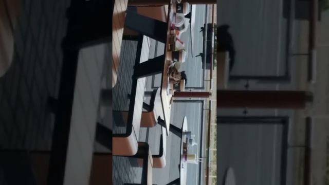 Голуби#макдональдс#макдак их поглатил