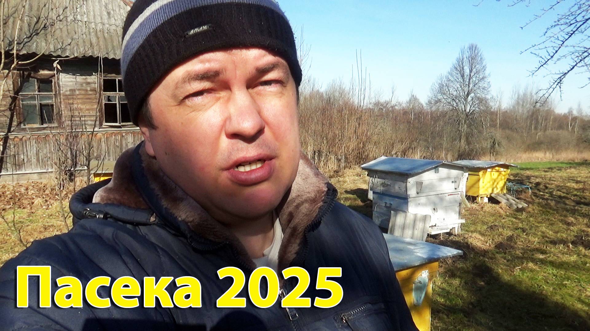 Первый облёт пчёл в марте и потери на пасеке 2025