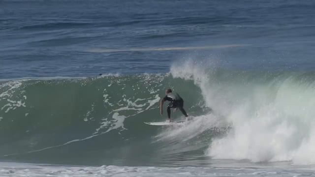 The Seabass In France