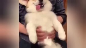 вы готовы дети да капитан