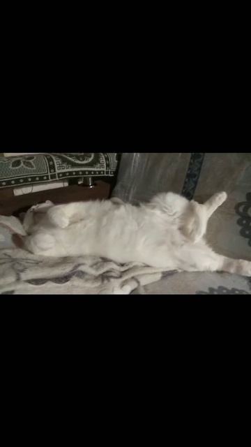 Натюрморт 😄