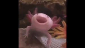 Аксолотоль