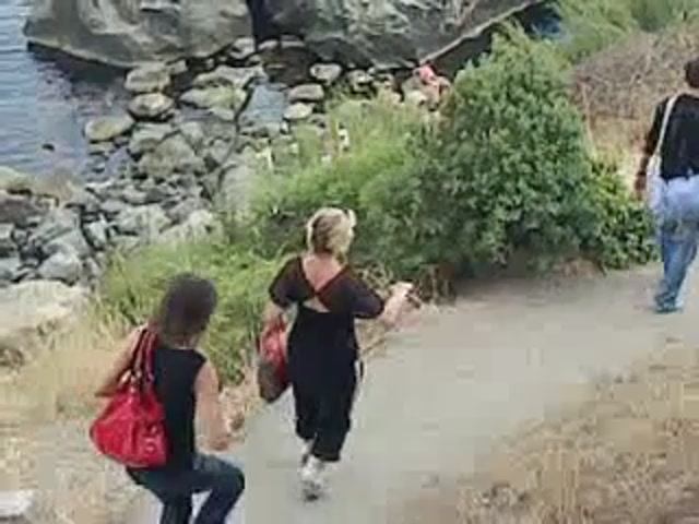 Вид с берега возле городского пляжа смотреть онлайн