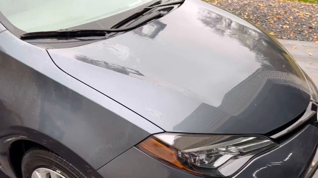 How To Remove Tree Sap (& More!) From Cars 👉🏻 Koch-Chemie Eulex смотреть онлайн