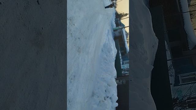 инра в кольмара 1 сезон не полностью