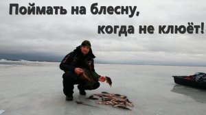 Ловля на топовые блёсны или как поймать, когда не клюёт.