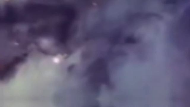 Donuts // Animation Meme Flipaclip // Gift