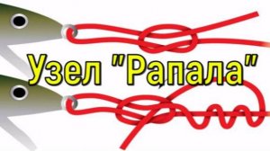 Узел Рапала