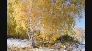 Фото слайд-шоу .....Чайковский  Времена года...Природа родного края