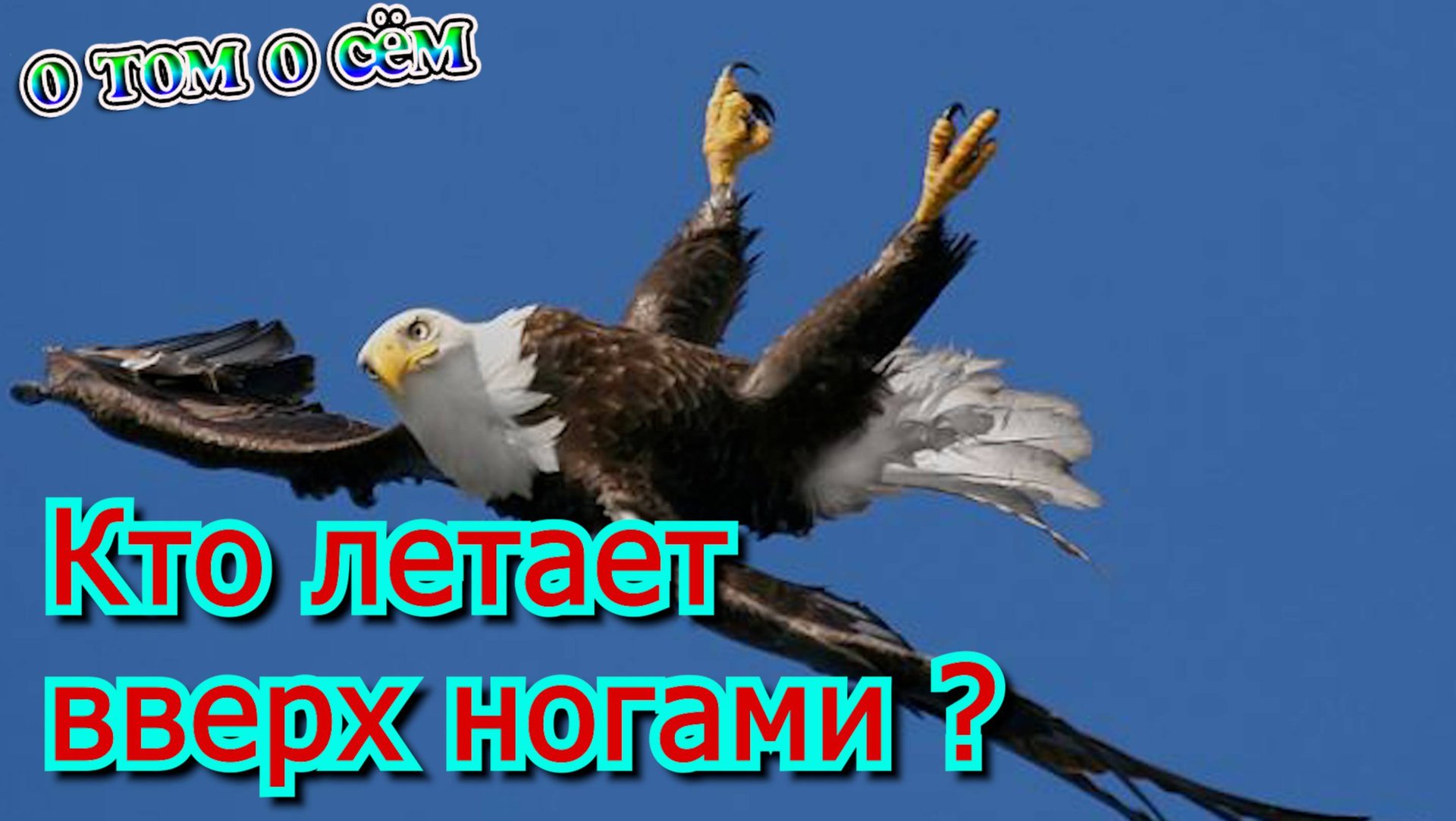 Кто летает вверх ногами О том О сём смотреть онлайн