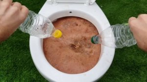 Experiment !! NUTELLA vs TOILET Coca Cola, Sprite, Pepsi and Mentos