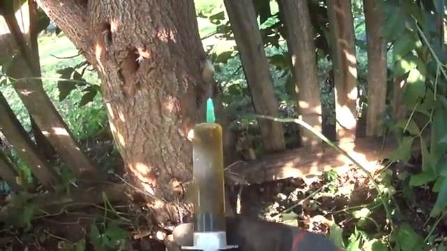 Как быстро и навсегда избавиться от любого дерева и поросли. смотреть онлайн