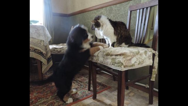 Элгранд Берни Урвин