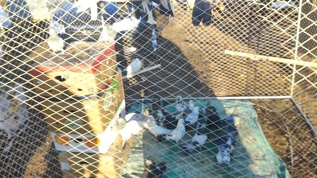 9.03.2025г Ярмарка Ленинградской ч. 1 👍 смотреть онлайн