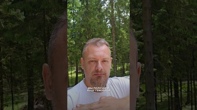 Как монтируется крыша дома из CLT? #строительство #стройка смотреть онлайн