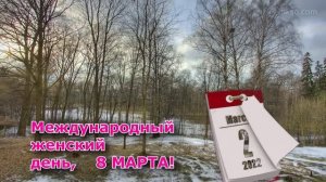 8 марта 2022