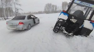 Племенной бык к 8 марта!