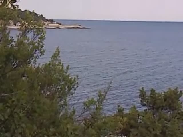 Вид с берега смотреть онлайн