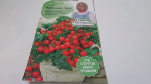 Томат Балконное чудо  Семена
