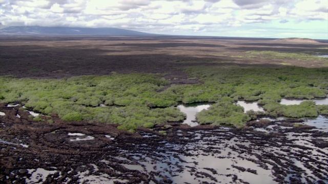 BBC: Галапагосы 1 серия «Рождённые огнём» (документальный сериал, 2006) смотреть онлайн