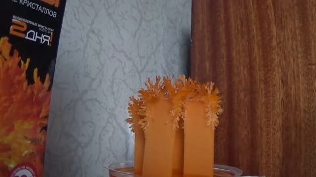 ВЫРАЩИВАНИЕ КРИСТАЛА УСКОРЕННАЯ СЪЕМКА 200Х (Growing Kristal TimeLapse 200X) смотреть онлайн