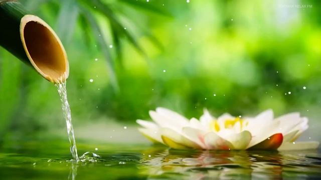 СБОРНИК СПОКОЙНОЙ МУЗЫКИ ДЛЯ РАССЛАБЛЕНИЯ И МЕДИТАЦИИ смотреть онлайн