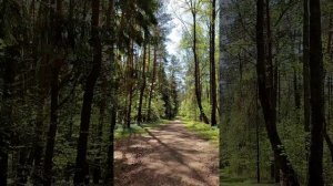 Санаторий "Красный Бор" в Смоленске.  Отдых на пятёрку с плюсом.