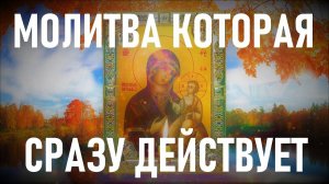 Молитва которая действует мгновенно Молитва Пресвятой Богородице