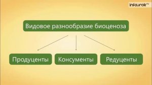 63. Естественные и искусственные биоценозы