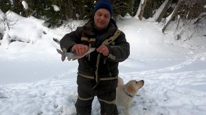 Рыбалка на хариуса / Два года не был на этой реке / Закинул удочки и началась клевая рыбалка