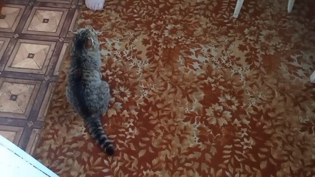 У бабуси в селе.Приехали не надолго ,тесто как пух на пасочки.Цыплята под курочкой.